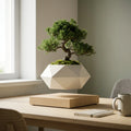 Floating Zen: Magnetic Levitating Bonsai Planter